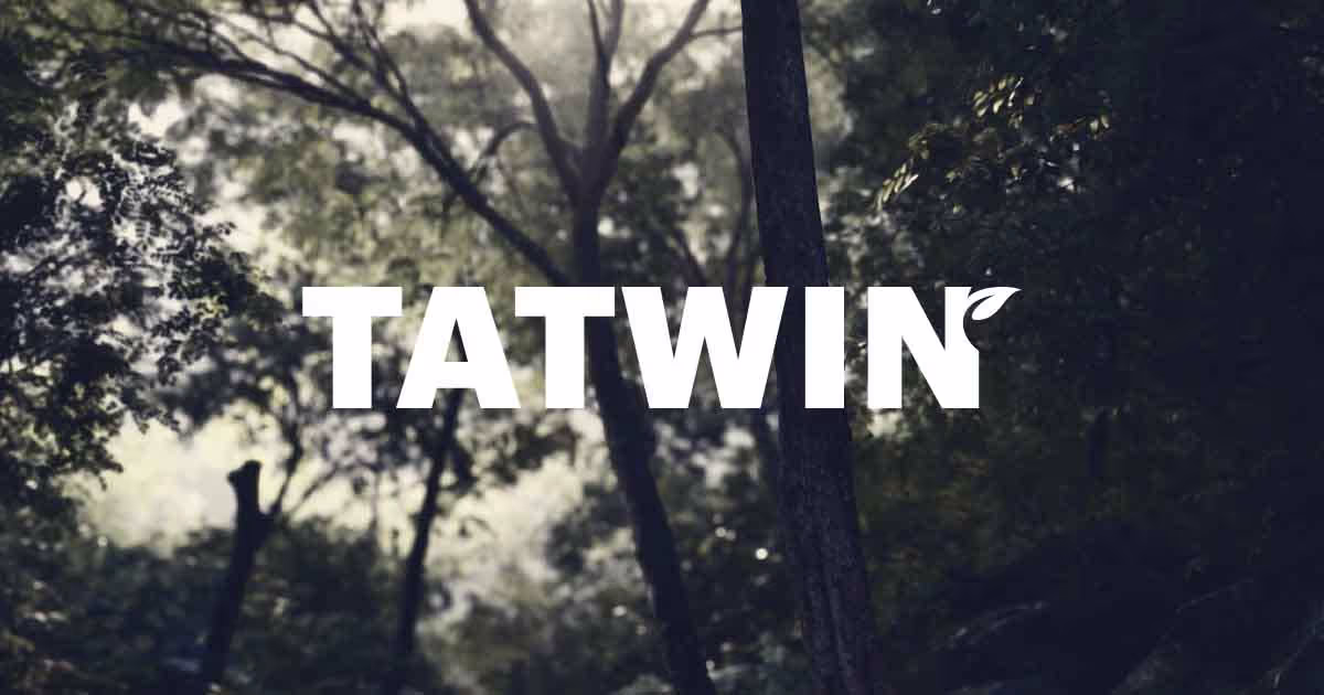 Tatwin website and branding by Volt